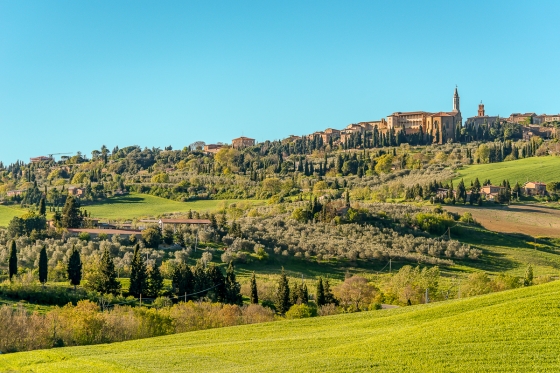 The Crete Senesi and Valdorcia: Pienza and Lunch at a Cheese Farm